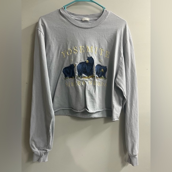 Brandy Melville Tops - Brandy Melville Gray Yosemite Crop Top